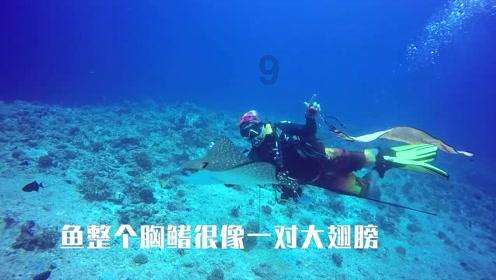 颜色方块